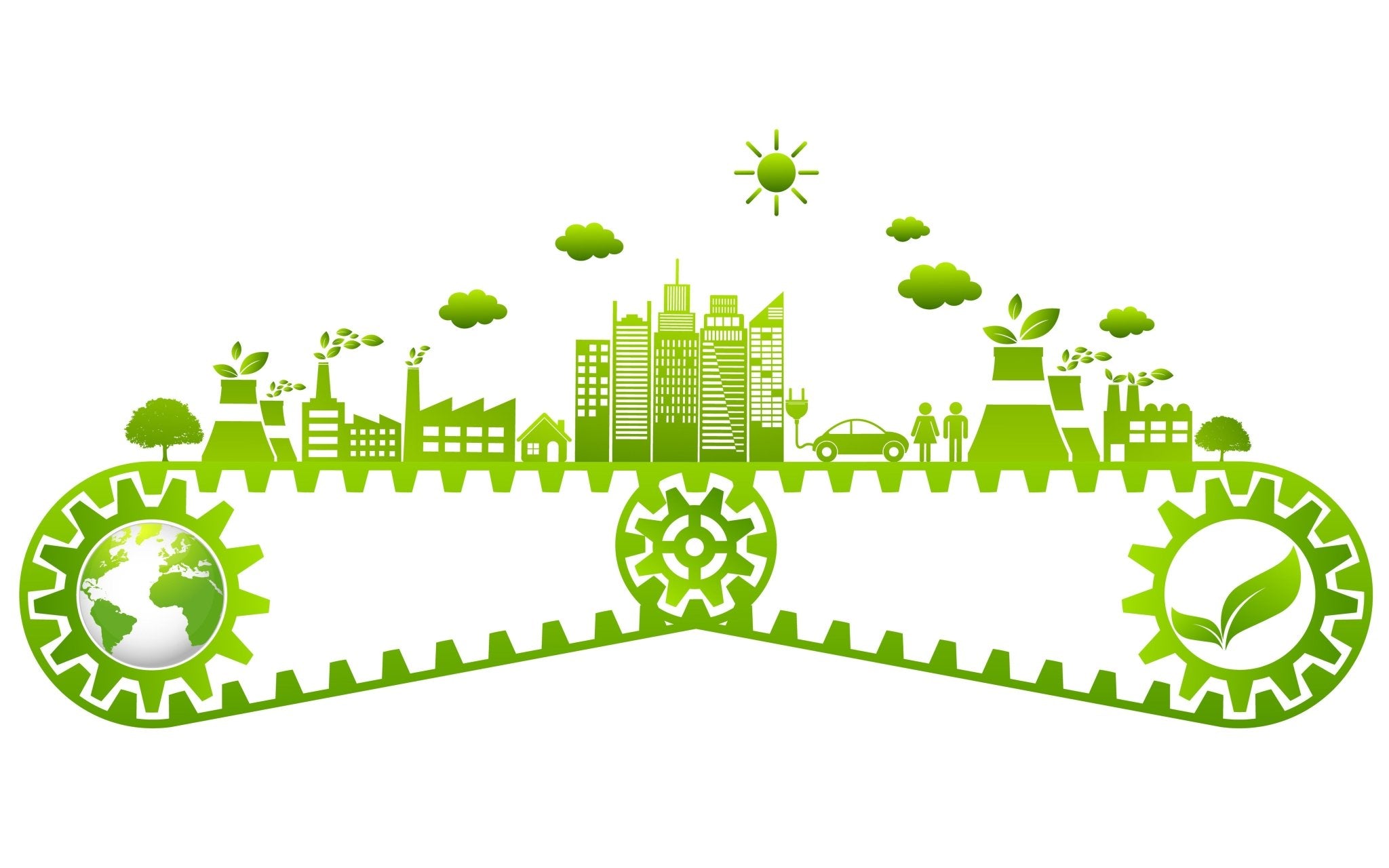 Embracing a Greener Tomorrow: Switching to Sustainable Materials in Food Service Packaging - TEM IMPORTS™