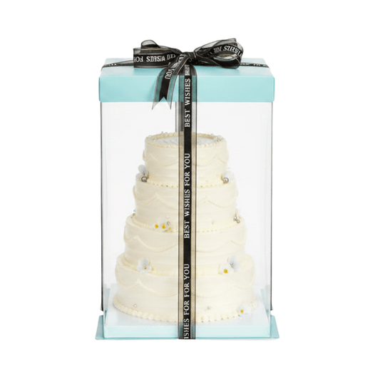 20x20x31 Clear Square Cake Box With Paper Lid - Green Teal - TEM IMPORTS™