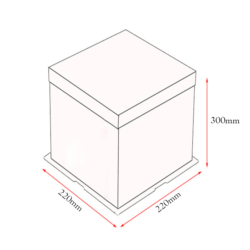 22x22x30 Clear Square Cake Box Gradient Pink With Paper Lid - TEM IMPORTS™