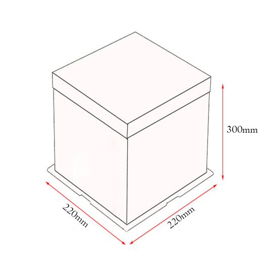 22x22x30 Clear Square Cake Box Gradient Pink With Paper Lid - TEM IMPORTS™