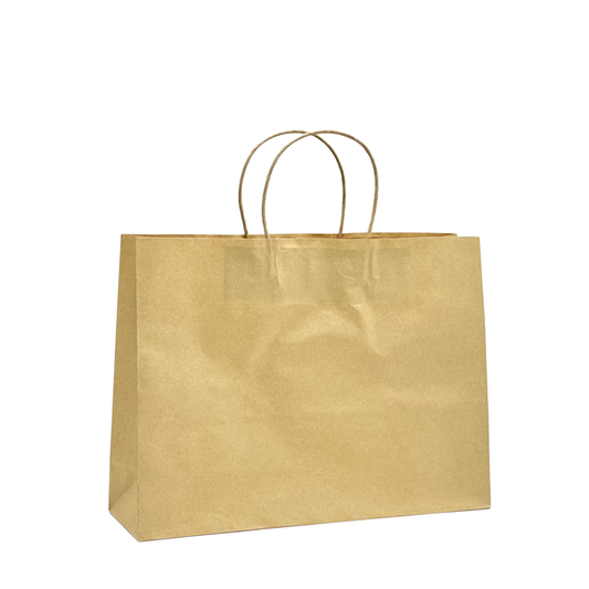 Medium Boutique Brown Twisted Handle Paper Bag - 250/CTN