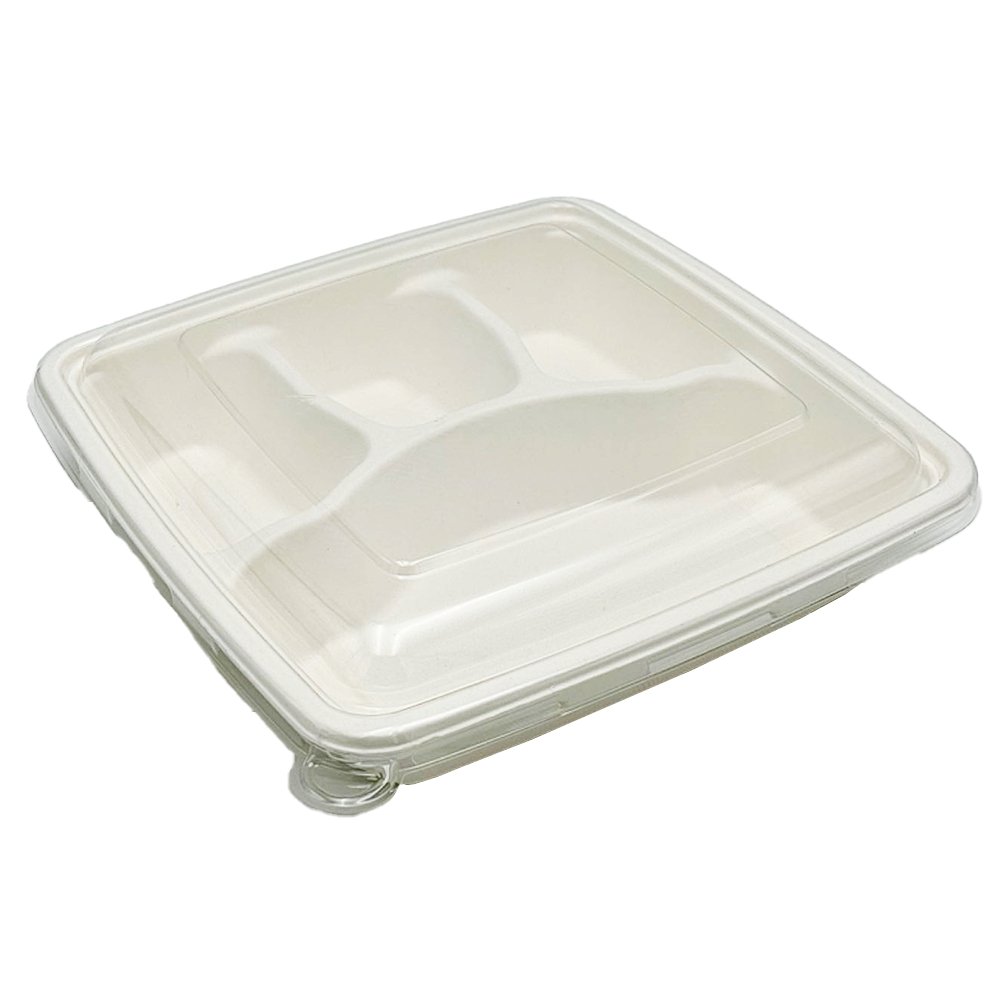 Clear PET Lid For Sugarcane 9" No Compartment Tray - 200/CTN - TEM IMPORTS™