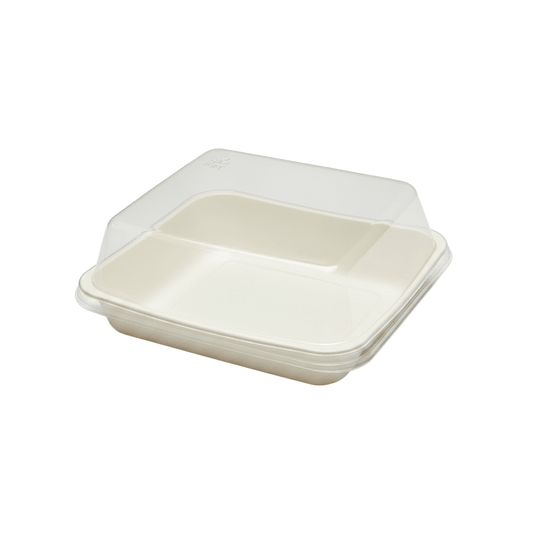 Clear PET Plastic Small Square White Cake Tray With Lid - TEM IMPORTS™