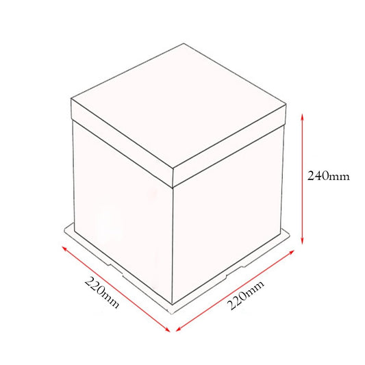 22x22x24 Clear Square Cake Box - White - TEM IMPORTS™