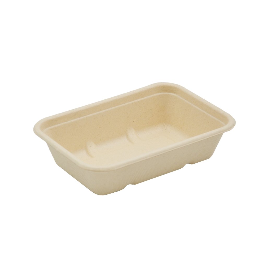 Sugarcane Rectangular Container
