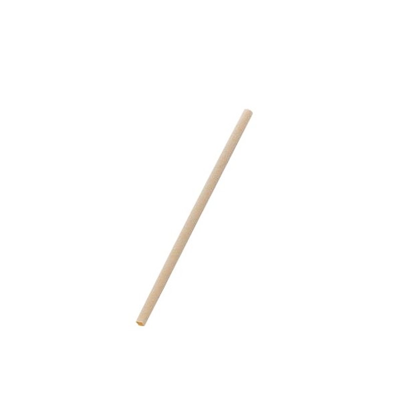 Cocktail Bamboo Fiber Straw Slant Cut