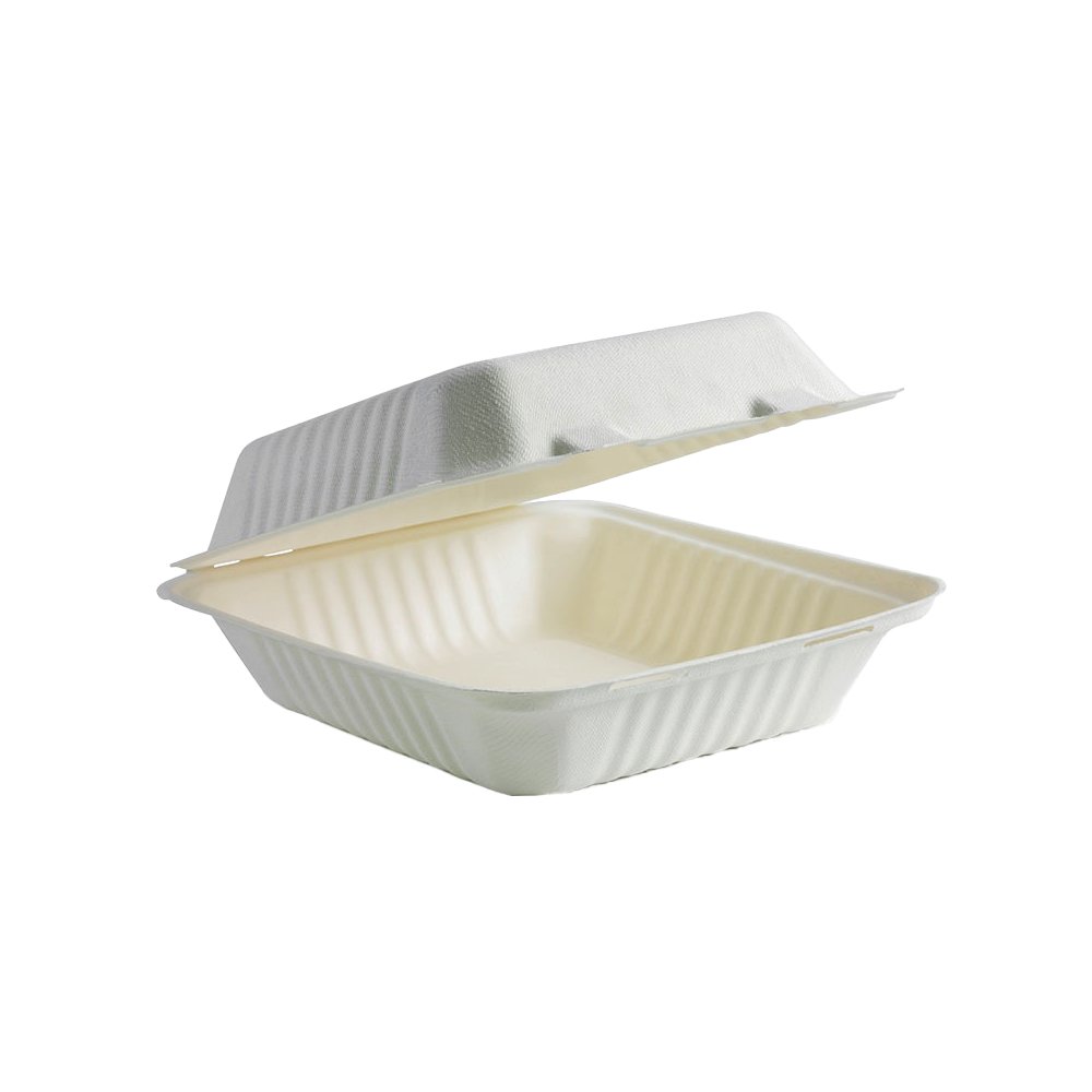 Small Sugarcane Dinner Box Clamshells - TEM IMPORTS™