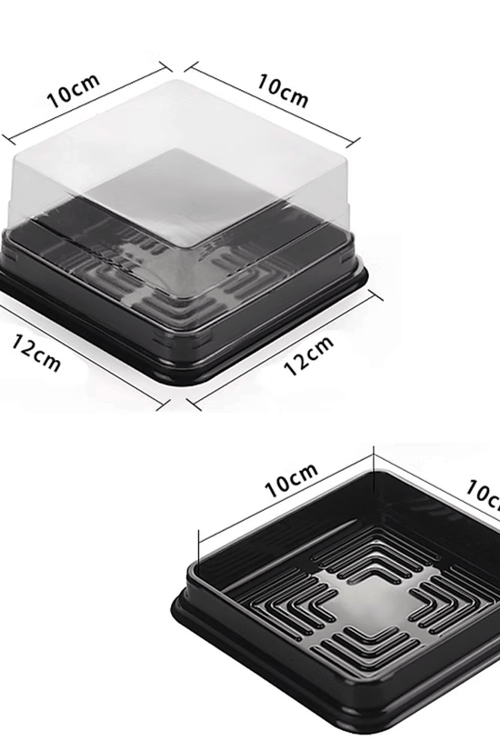 120x120mm Individual Black Square Container With Lid - TEM IMPORTS™