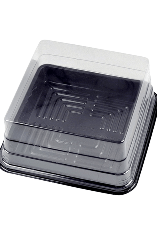 120x120mm Individual Black Square Container With Lid - TEM IMPORTS™