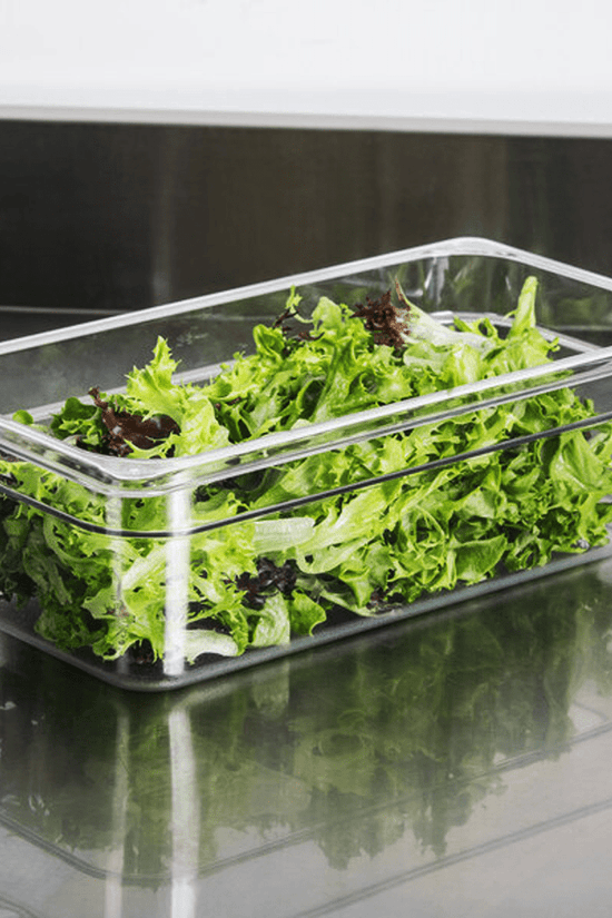 1/3 Size Clear Polycarbonate Food Pan - 100mm - TEM IMPORTS™