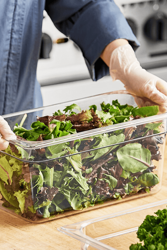 1/3 Size Clear Polycarbonate Food Pan - 150mm - TEM IMPORTS™