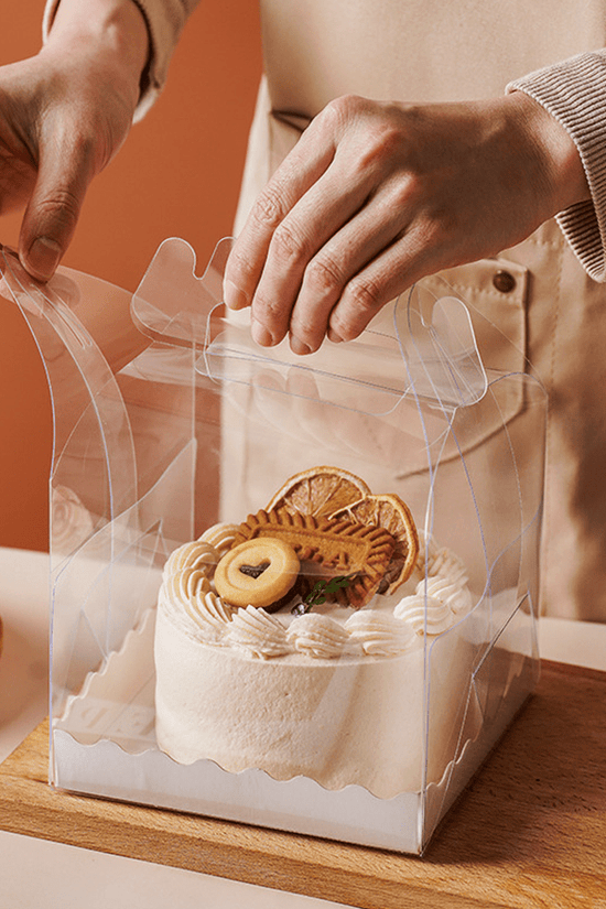 150x150x120mm Square Transparent Box With Handle - TEM IMPORTS™