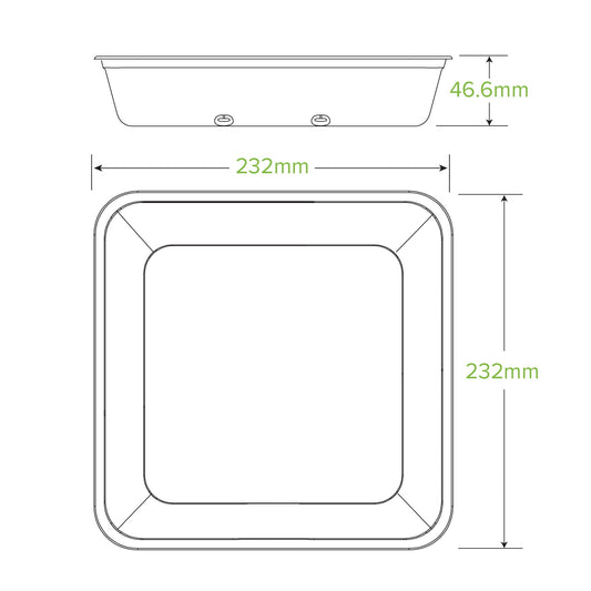1,750mL Large Natural Plant Fibre Takeaway Base - 300pcs/Ctn - TEM IMPORTS™