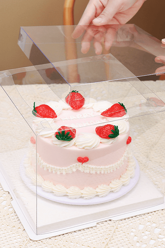 17x17x20 Transparent Square Box With Clear Lid - TEM IMPORTS™