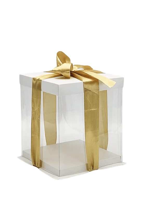 17x17x20 Transparent Square Box With Paper Lid - TEM IMPORTS™