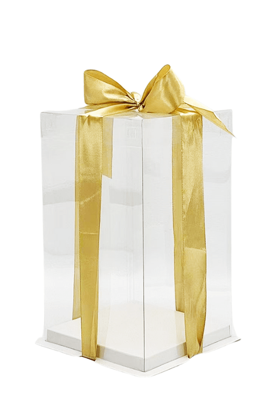 17x17x28 Transparent Square Box With Clear Lid - TEM IMPORTS™