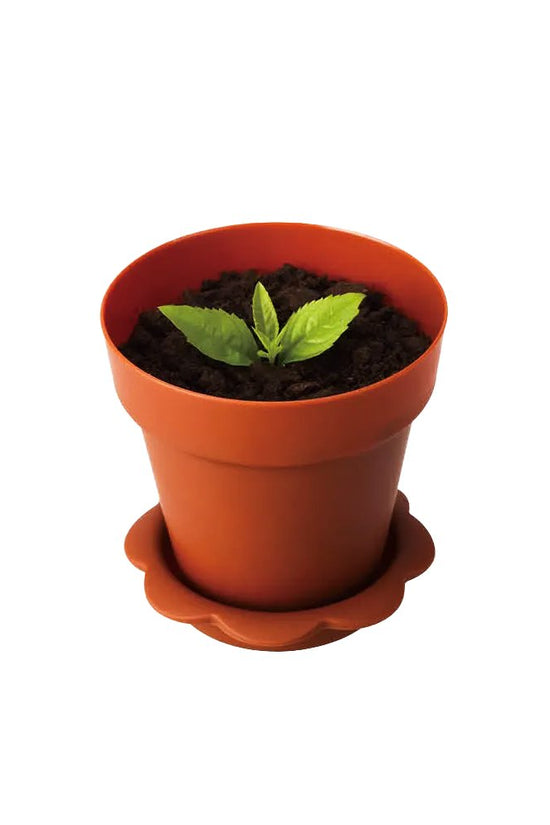 190mL Mini Round Potted Plant Shape Dessert Cup Base - Brown - TEM IMPORTS™