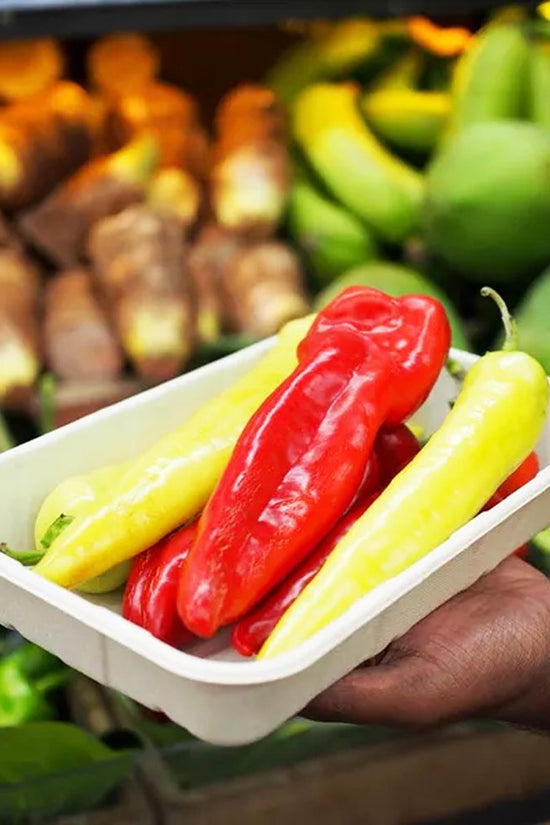 1kg Plant Fibre Produce Tray - 500/CTN - TEM IMPORTS™