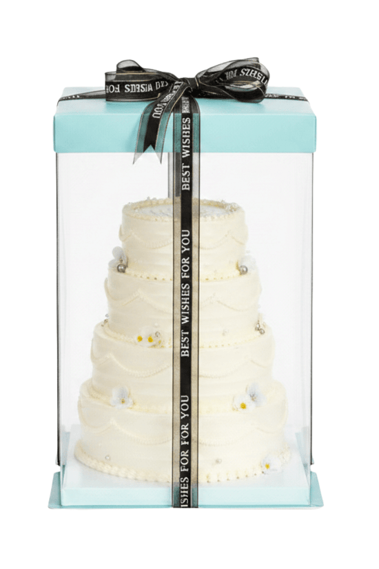 20x20x31 Clear Square Cake Box With Paper Lid - Green Teal - TEM IMPORTS™
