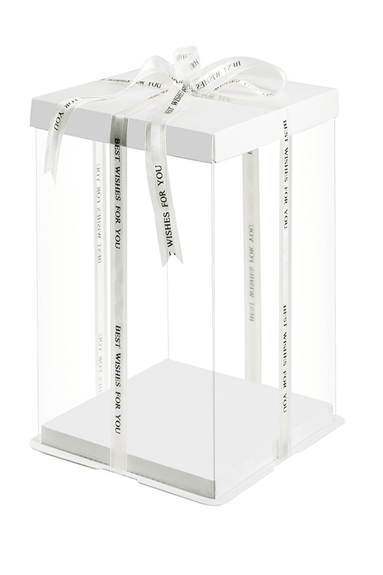 20x20x31 Clear Square Cake Box With Paper Lid - White - TEM IMPORTS™
