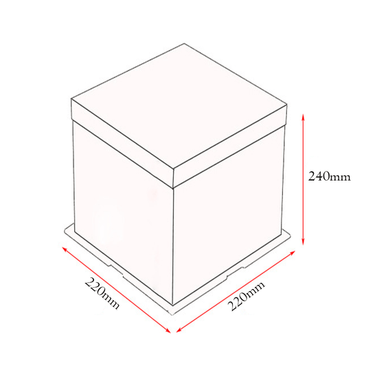 22x22x24 Clear Square Cake Box Gradient Pink With Paper Lid - TEM IMPORTS™