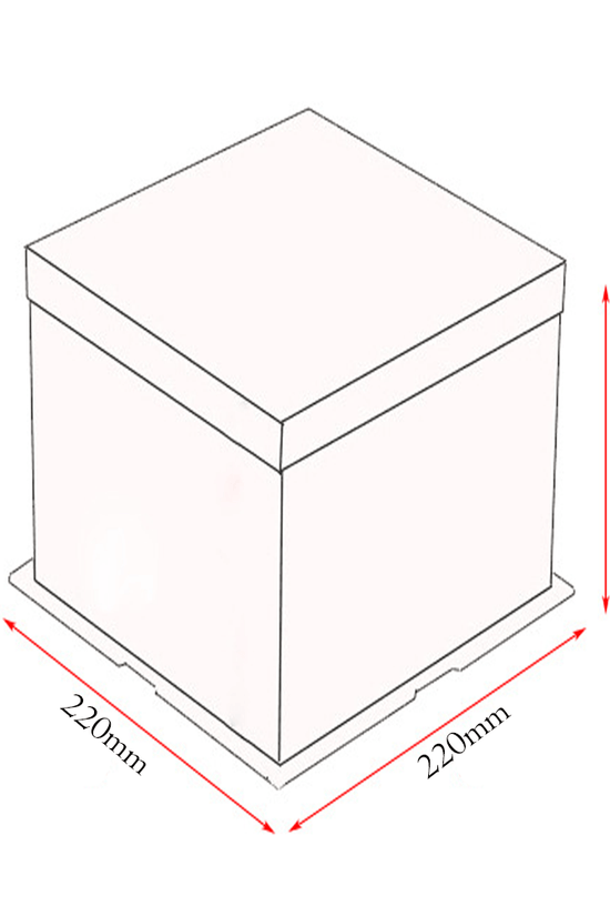 22x22x30 Clear Square Cake Box Gradient Pink With Paper Lid - TEM IMPORTS™