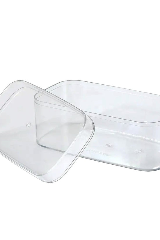 250mL Clear Rectangular Container With Hard Lid - TEM IMPORTS™