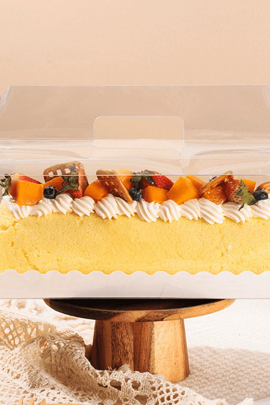 270mm Long Rectangle Transparent Box With Handle - TEM IMPORTS™
