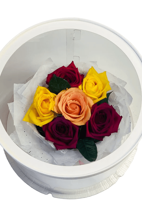 30x34 Round Transparent Box With Window Lid - TEM IMPORTS™