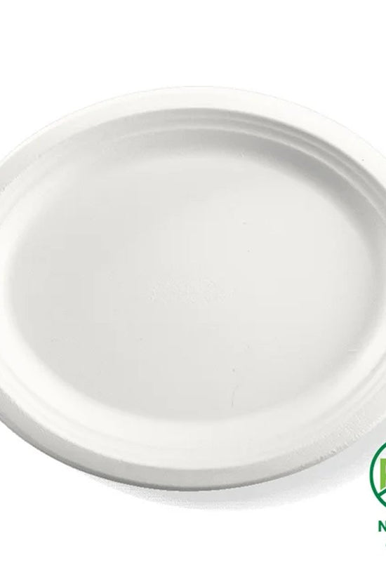 320x250mm Oval Plant Fibre Plate - 500pcs/Ctn - TEM IMPORTS™