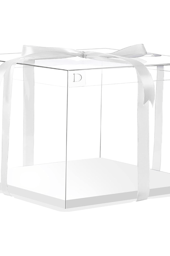 38x38x40 Transparent Square Box With Clear Lid - TEM IMPORTS™
