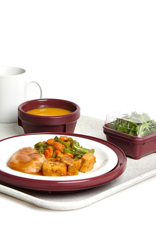 560x405mm KH Healthcare Fibreglass Tray White Speckled - TEM IMPORTS™