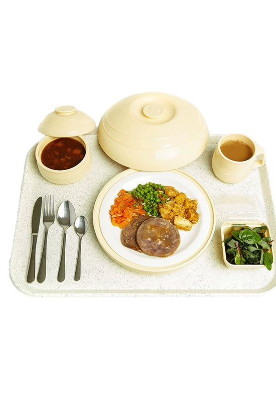 560x405mm KH Healthcare Fibreglass Tray White Speckled - TEM IMPORTS™