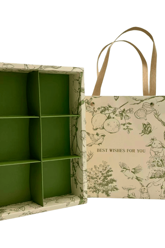 6 Compartment Gift Box with Carry Bag Set - Pack of 25 - TEM IMPORTS™