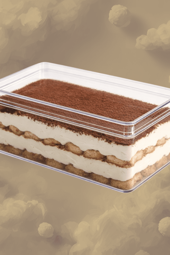 650mL Clear Rectangular Container With Hard Lid - TEM IMPORTS™