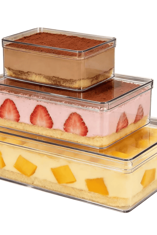 650mL Clear Rectangular Container With Hard Lid - TEM IMPORTS™