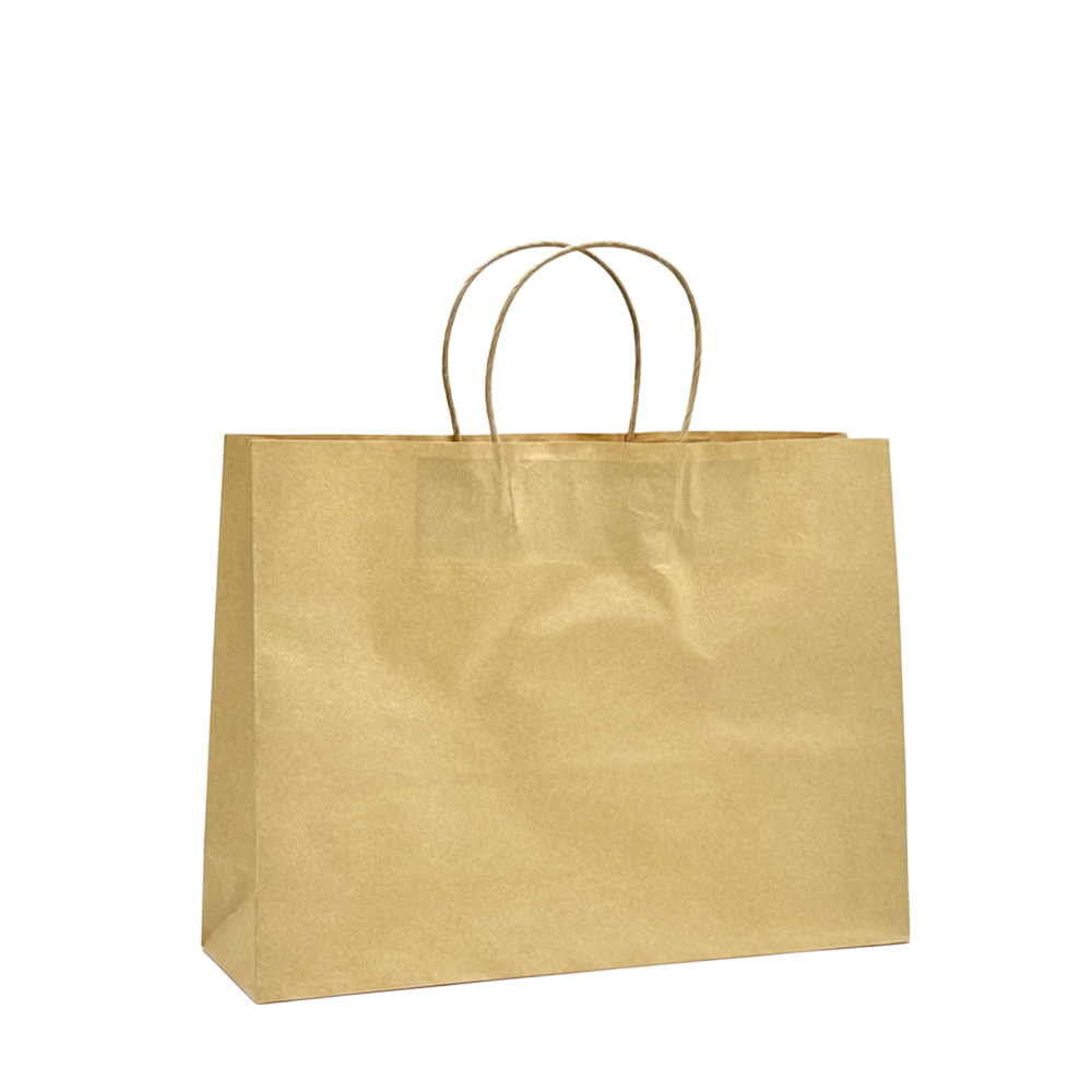 Medium Boutique Brown Twisted Handle Paper Bag - 250/CTN