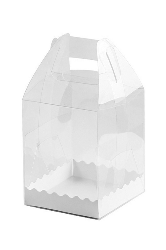 150x150x120mm Square Transparent Box With Handle - TEM IMPORTS™