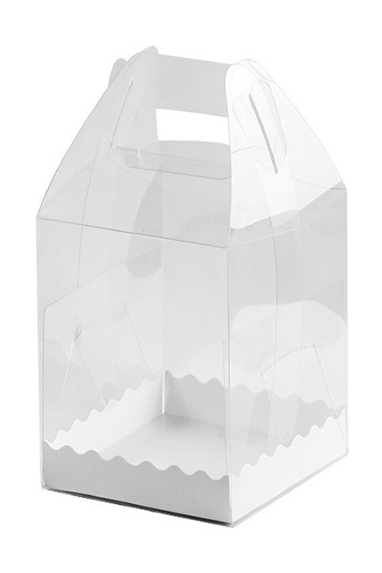 150x150x180mm Tall Square Transparent Box With Handle - TEM IMPORTS™