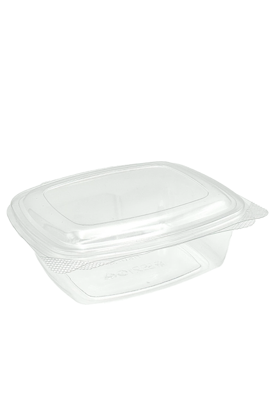 Fresh Seal Anti-Fog Hinged Rectangular Container