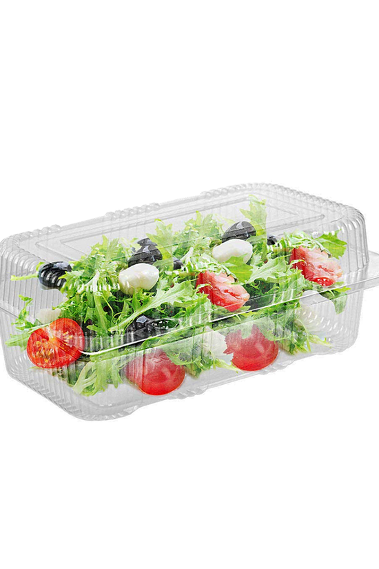 Large Rectangular Plastic Hinged Lid Container