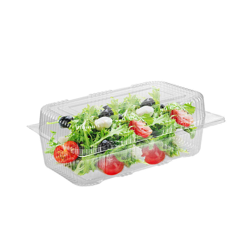 Large Rectangular Plastic Hinged Lid Container