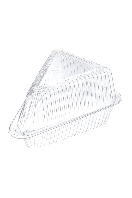 Triangle Shape Cake Slice Hinged Lid Container