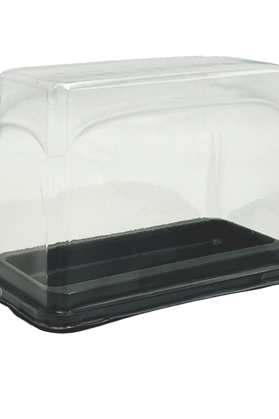 H100mm Individual Tall Rectangular Container With Lid - TEM IMPORTS™Individual Cake Container