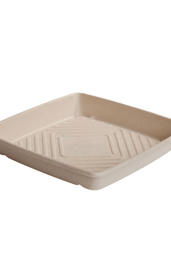 Bioway Sugarcane Catering Tray Natural - Medium - TEM IMPORTS™