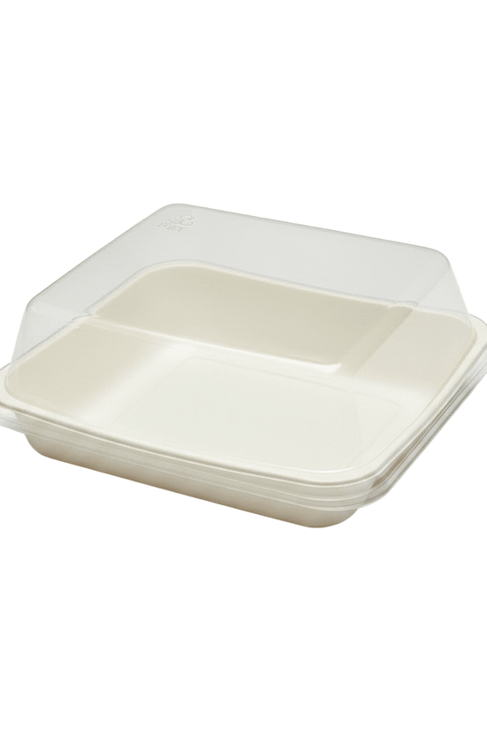 Clear PET Plastic Small Square White Cake Tray With Lid - TEM IMPORTS™