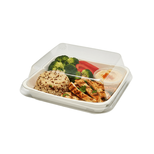 Clear PET Plastic Small Square White Cake Tray With Lid - TEM IMPORTS™