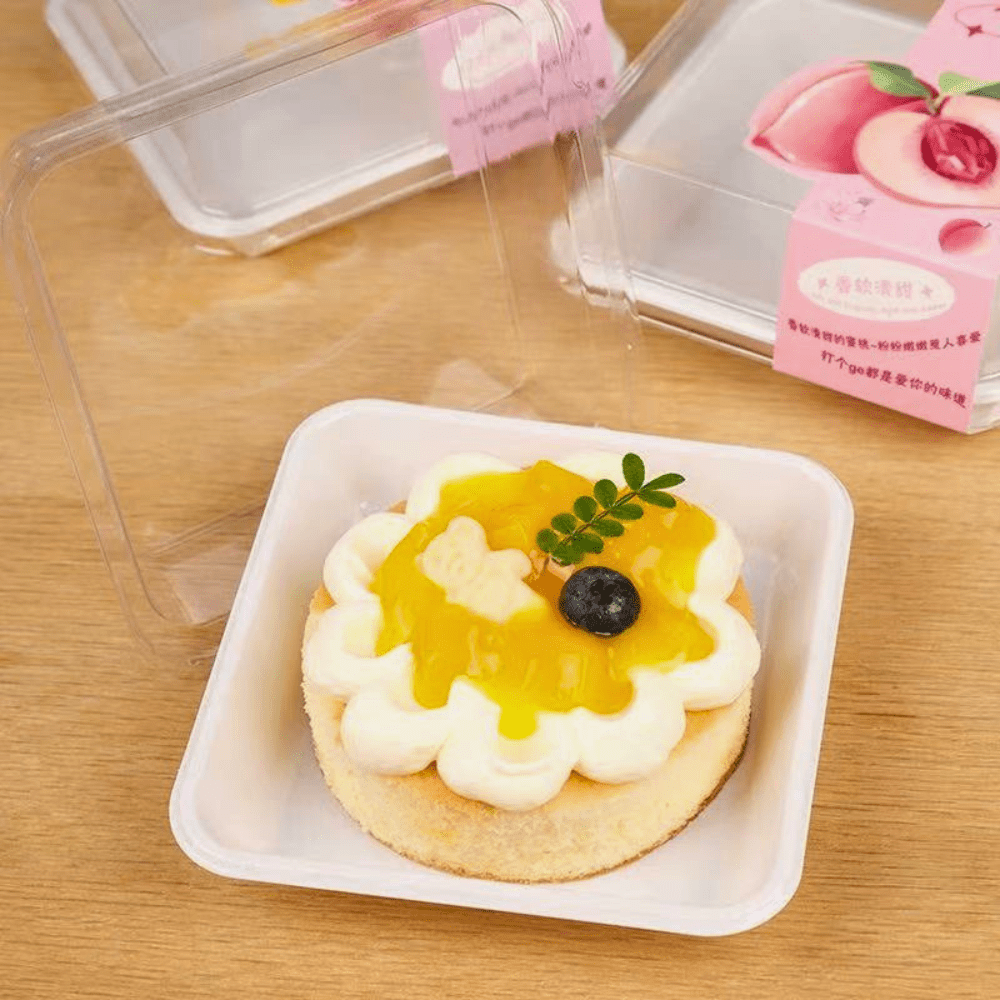Clear PET Plastic Square Cake Tray With Lid - White - TEM IMPORTS™