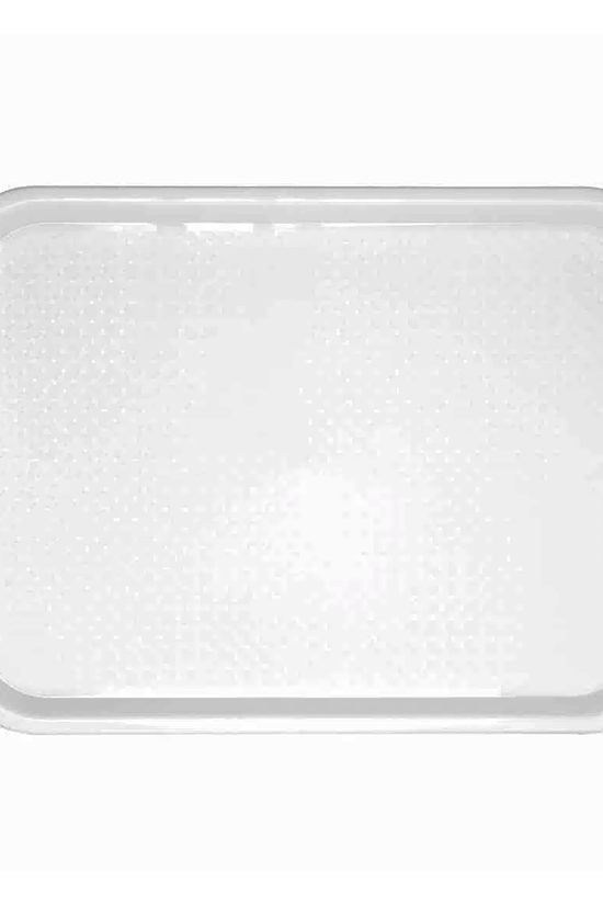Fast Food Plastic Tray 400x300mm - TEM IMPORTS™