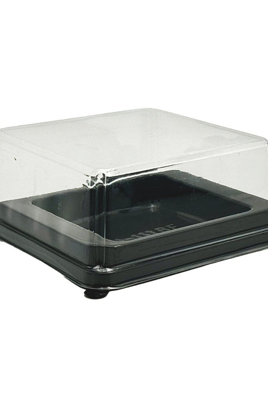 H50mm Square Internal Square With Clear Lid Container - TEM IMPORTS™